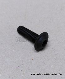 Fillister head screw with flange DIN 7380-M6x20-10.9 ps black