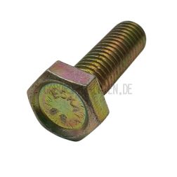 Hexagon screw M8x25 (DIN 933)