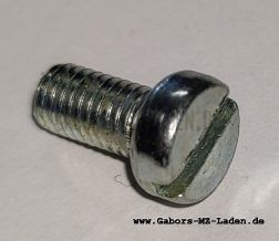 Zylinderschraube BM5x10  TGL 0-84-5.6