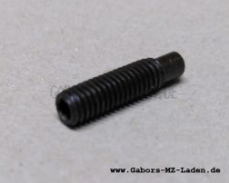 Stellschraube am Bremshebel