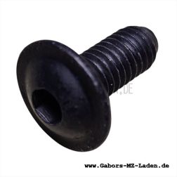 Flachkopfschraube M6x14-8.8-ps-sw