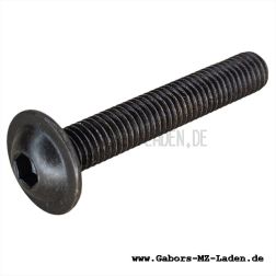 Linsenflanschkopfschraube M8x50-10.9-A4K schwarz