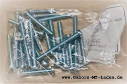 Satz Schlitzschrauben für Motorgehäuse Tatran 125 (23 Stk.)