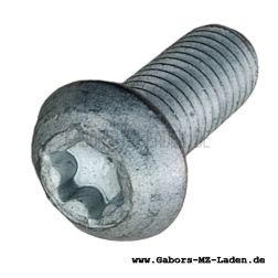 Fillister head screw with flange DIN 7380-M8x20-10.9-mk-Torx-Dt