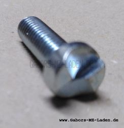 Sicherheitsschraube M8X25 gal Fe/Zn 12c