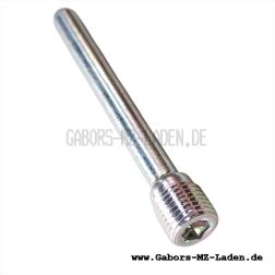 Haltebolzen für Bremsklötze