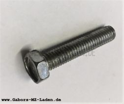 Hexagon screw M5x25 (DIN933)