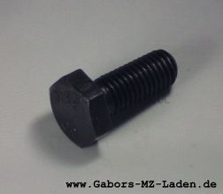 Sechskantschraube M10x25 TGL 0-933-10.9 blank