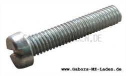 Cylinder screw AM 6x30 TGL 0-84-5S