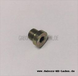 Locking screw M10x1 ED