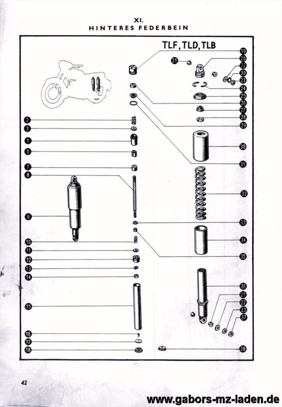 11. Hinteres Federbein