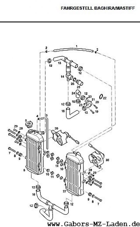 F32. Sistema de radiador