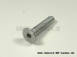 Countersunk screw M5x25 7991