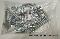 Standard part Set for frame (100 pieces) TS250, TS250/1