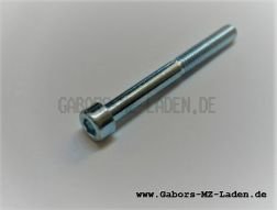 Cylinder screw M6x55 DIN 912-A4K