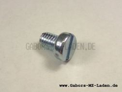 Cylinder screw M6x8  TGL 0-84-5.8