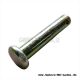 Bolt DIN 1444-B10h11x50 