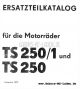 MZ TS 250, 250/1